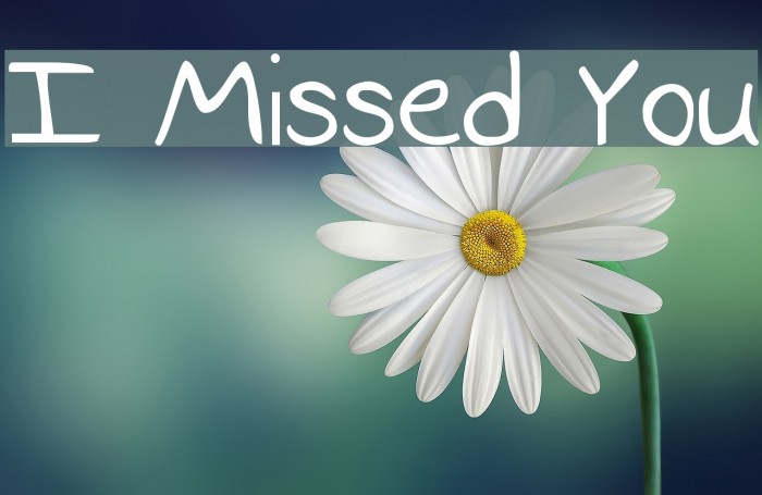 I Missed You Font examples