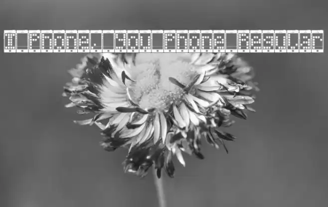 I Phone, You Phone Regular Font examples