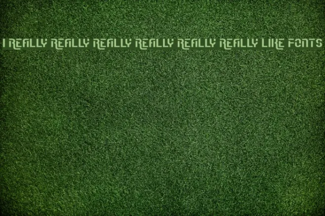 I Really Really Really Really Really Really Like Fonts Example 1