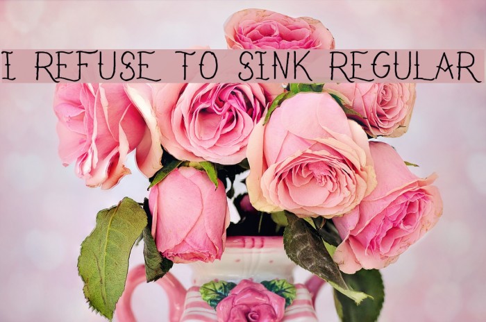 I Refuse To Sink Regular Font examples