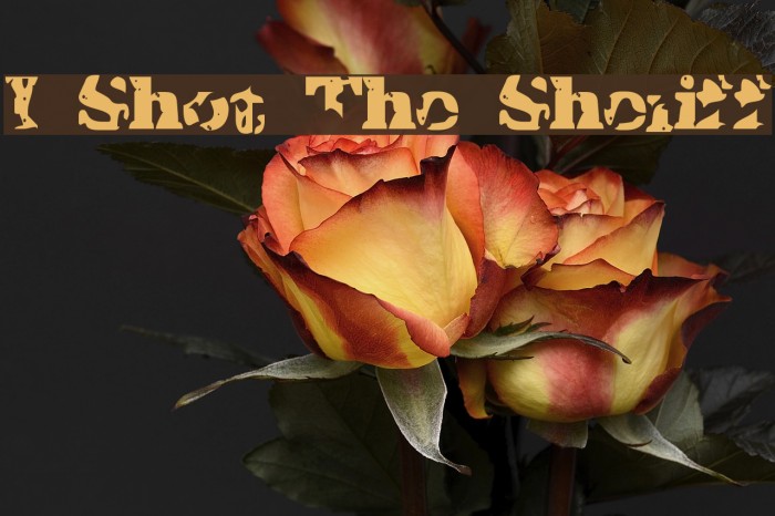 I Shot The Sheriff Example 2