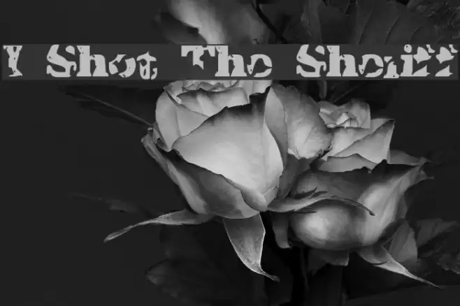 I Shot The Sheriff Font examples