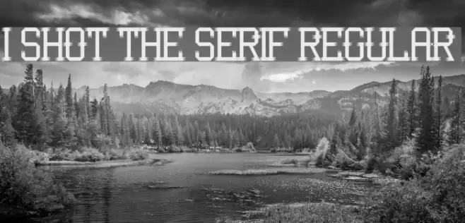 I Shot the Serif Regular Font examples