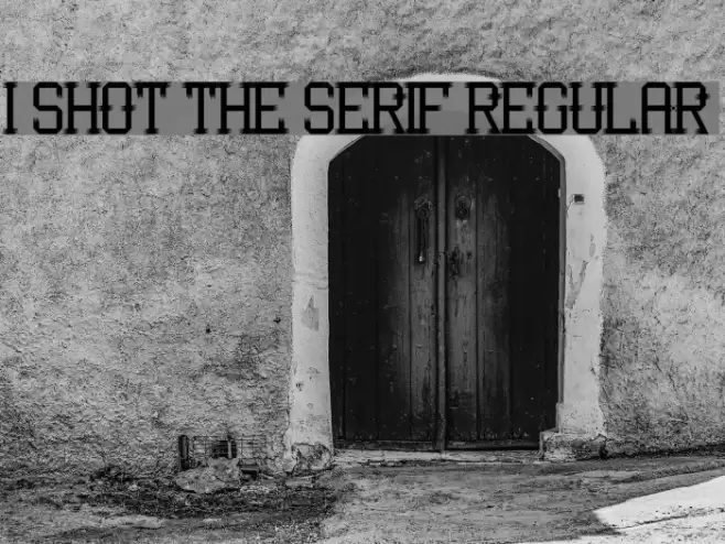 I Shot the Serif Regular Font examples