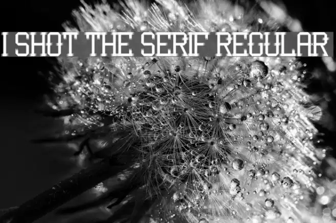 I Shot the Serif Regular Font examples