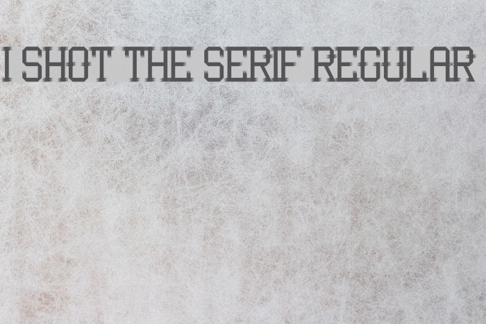 I Shot the Serif Regular Example 1