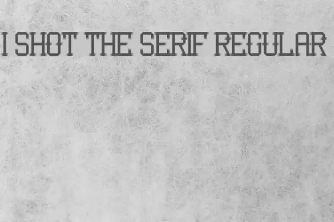 I Shot the Serif Regular Font examples