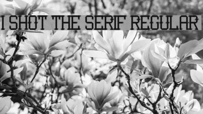 I Shot the Serif Regular Font examples