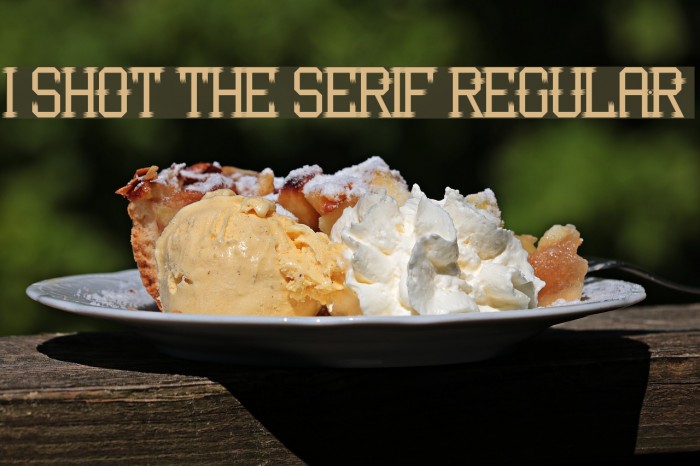 I Shot the Serif Regular Example 3