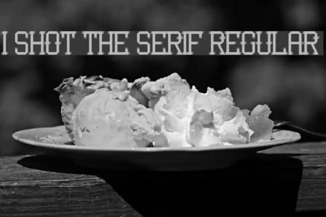 I Shot the Serif Regular Font examples