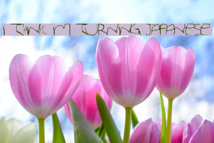 I Think Im Turning Japanese Font examples