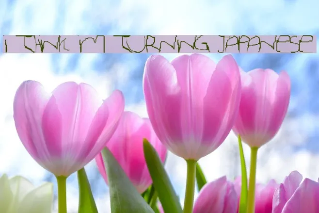 I Think Im Turning Japanese Example 1