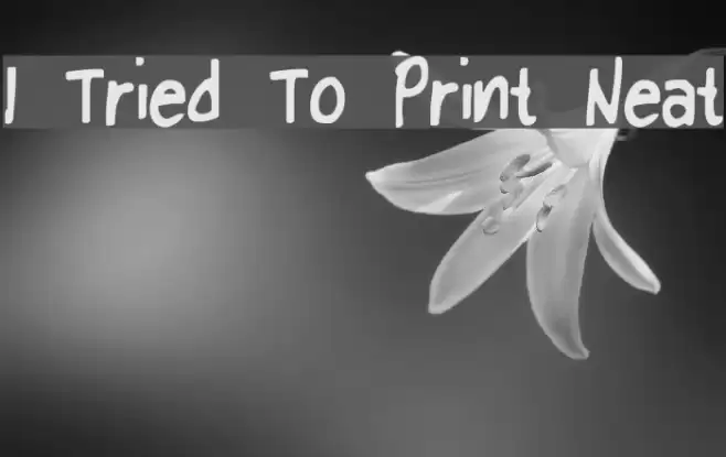 I Tried To Print Neat Font examples