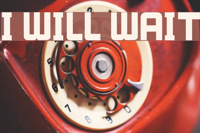 I WILL WAIT Font examples