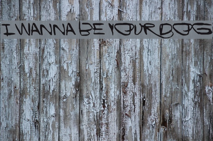 I Wanna Be Your Dog Example 1