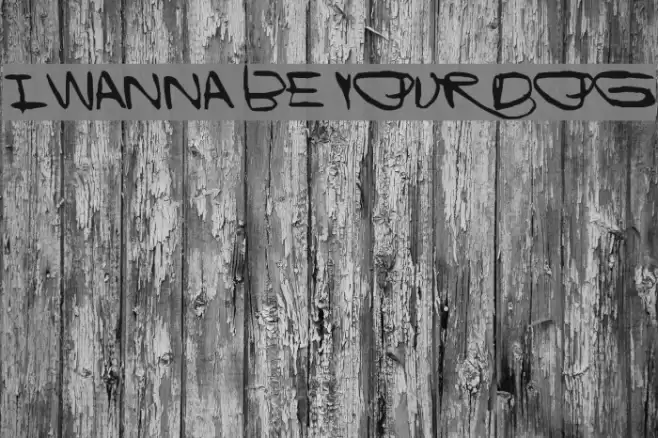 I Wanna Be Your Dog Font examples