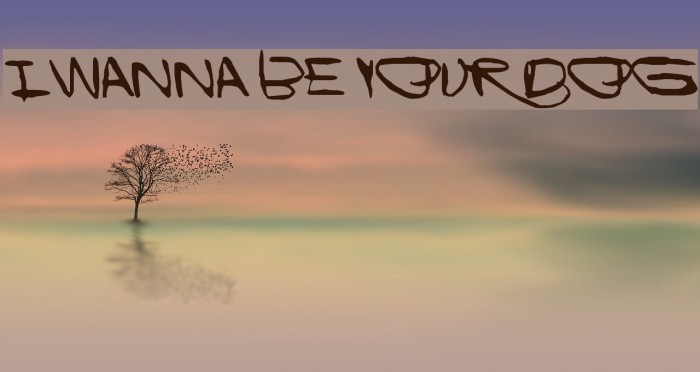 I Wanna Be Your Dog Example 2