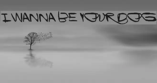 I Wanna Be Your Dog Font examples