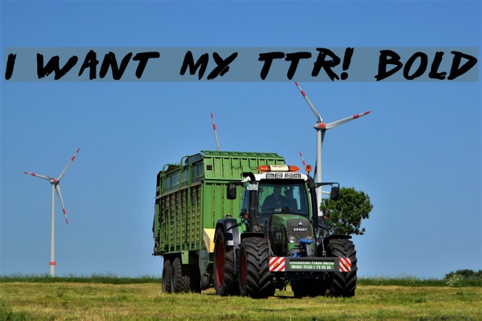 I Want My TTR! Bold Font examples
