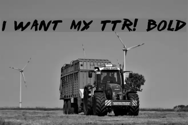 I Want My TTR! Bold Font examples