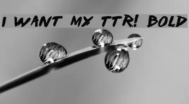 I Want My TTR! Bold Font examples