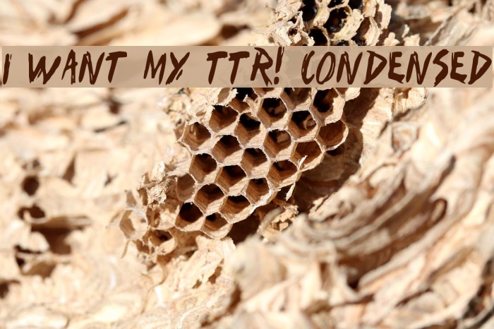 I Want My TTR! Condensed Font examples