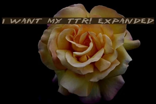 I Want My TTR! Expanded Example 2