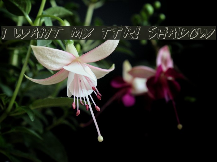 I Want My TTR! Shadow Font examples