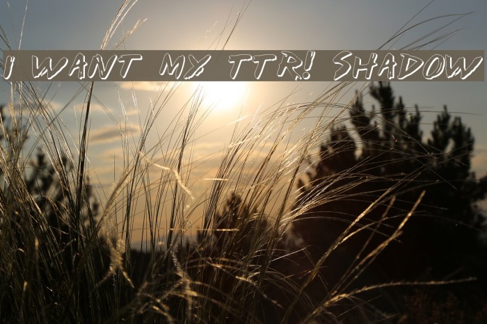 I Want My TTR! Shadow Font examples