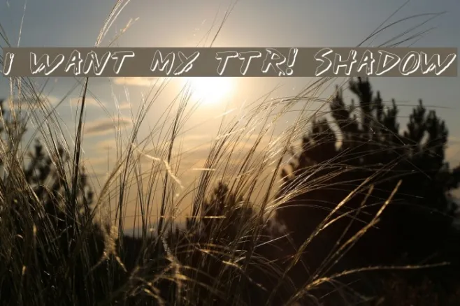I Want My TTR! Shadow Example 3