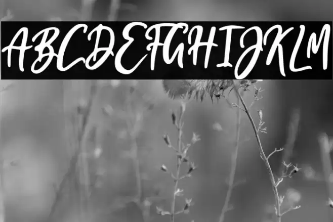 I am Cool Fonte examples