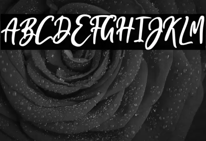 I am Cool Fonte examples