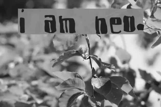 I am Nervous. Font examples