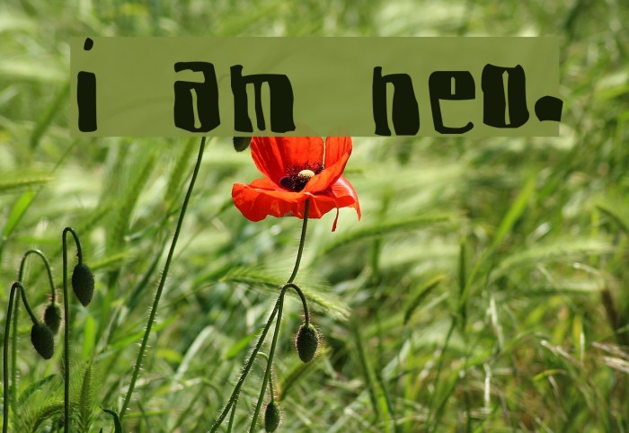 I am Nervous. Font examples
