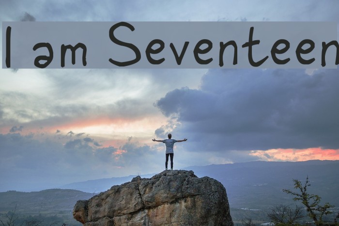 I am Seventeen Font examples