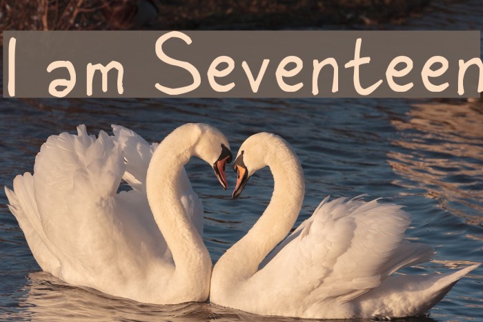 I am Seventeen Font examples