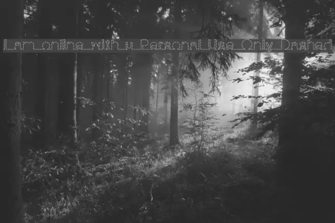 I am online with u Personal Use Only Dashed Fonte examples