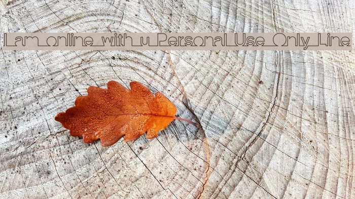 I am online with u Personal Use Only Line Font examples