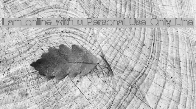 I am online with u Personal Use Only Line 字体 examples