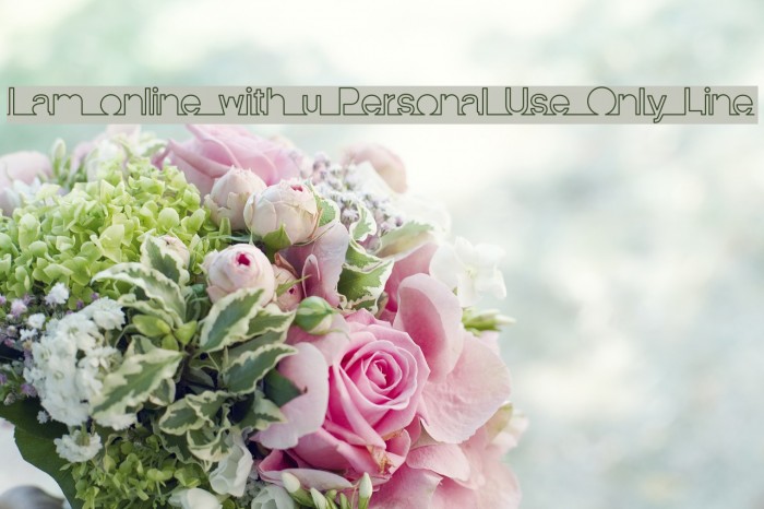 I am online with u Personal Use Only Line Font examples