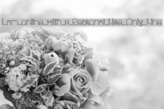 I am online with u Personal Use Only Line 字体 examples