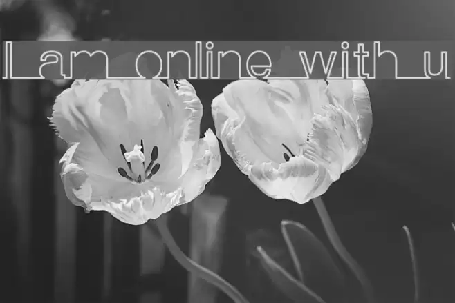 I am online with u Font examples