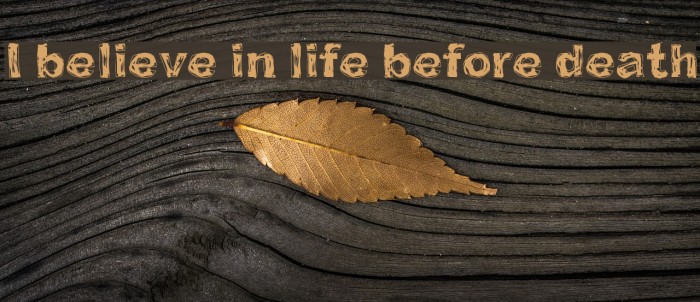 I believe in life before death Font examples
