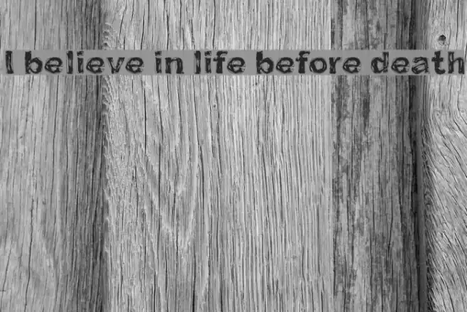 I believe in life before death Font examples