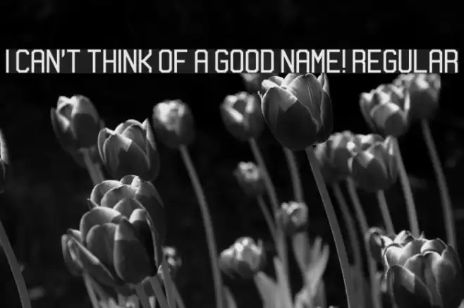 I can't think of a good name! Regular Schriftart examples