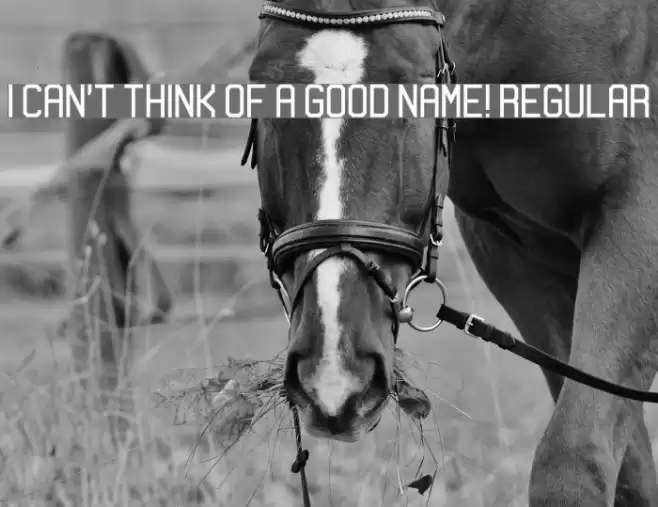 I can't think of a good name! Regular Schriftart examples