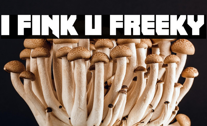 I fink u freeky Font examples
