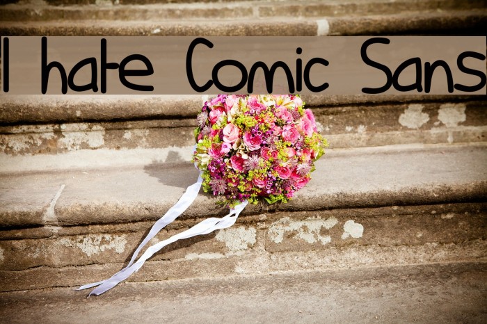 I hate Comic Sans Font examples