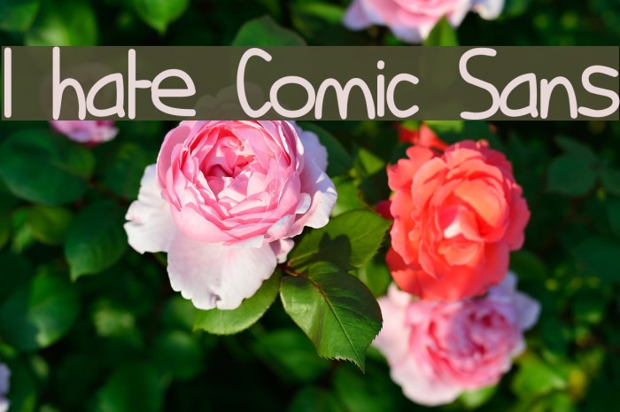 I hate Comic Sans Font examples