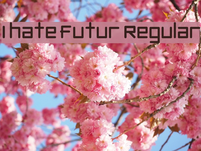 I hate futur Regular Font examples
